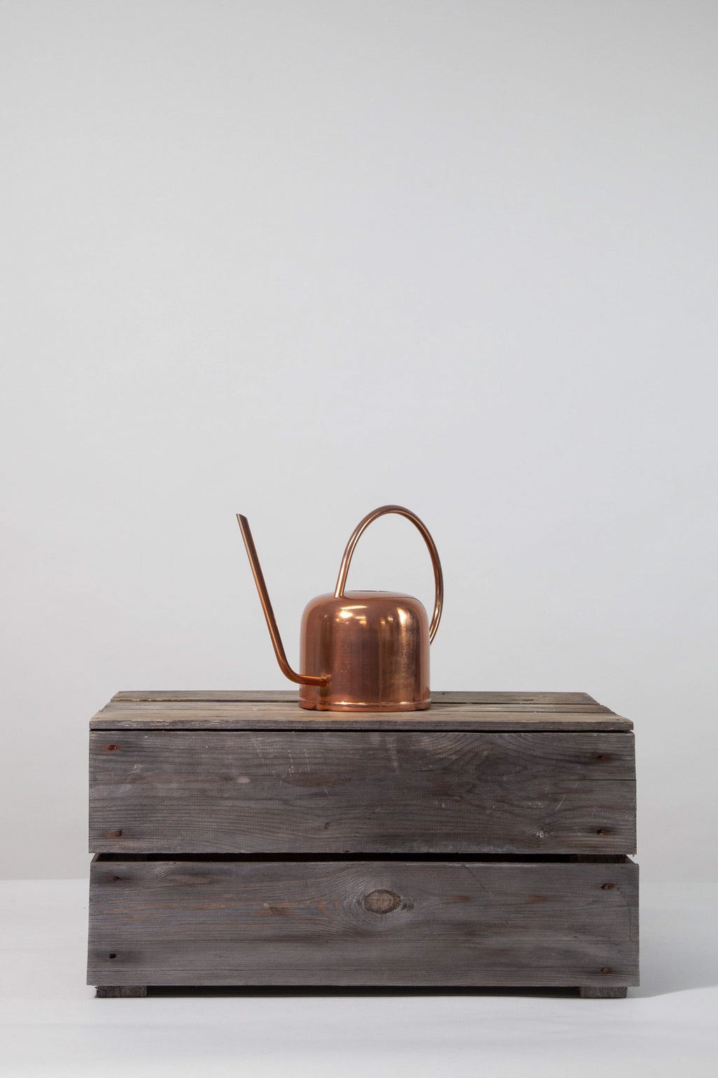 files/IndoorPlants-StudioShots13.11.2023-331.jpg